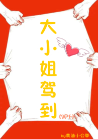 大小姐驾到（NPH）