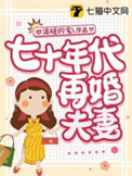 七十年代再婚夫妻